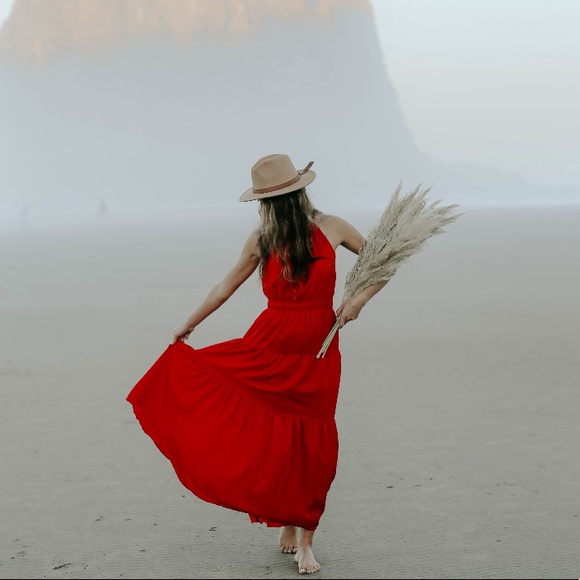 PAMPAS GRASS dried natural grasses 3 STEMS - Picture 2 of 3